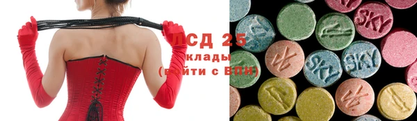 дживик Верея