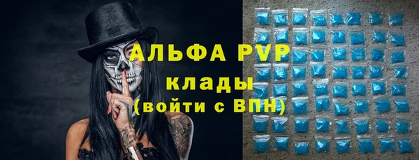 дживик Верея