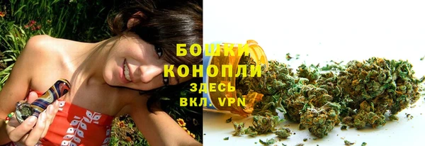 дживик Верея