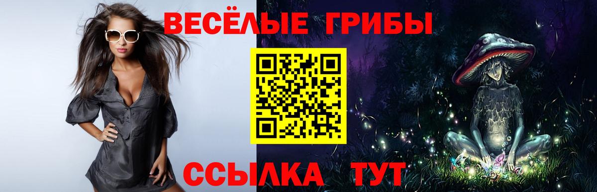 Галлюциногенные грибы Magic Shrooms  магазин    Гулькевичи  Вход с VPN  Псилоцибиновые грибы ЛСД 